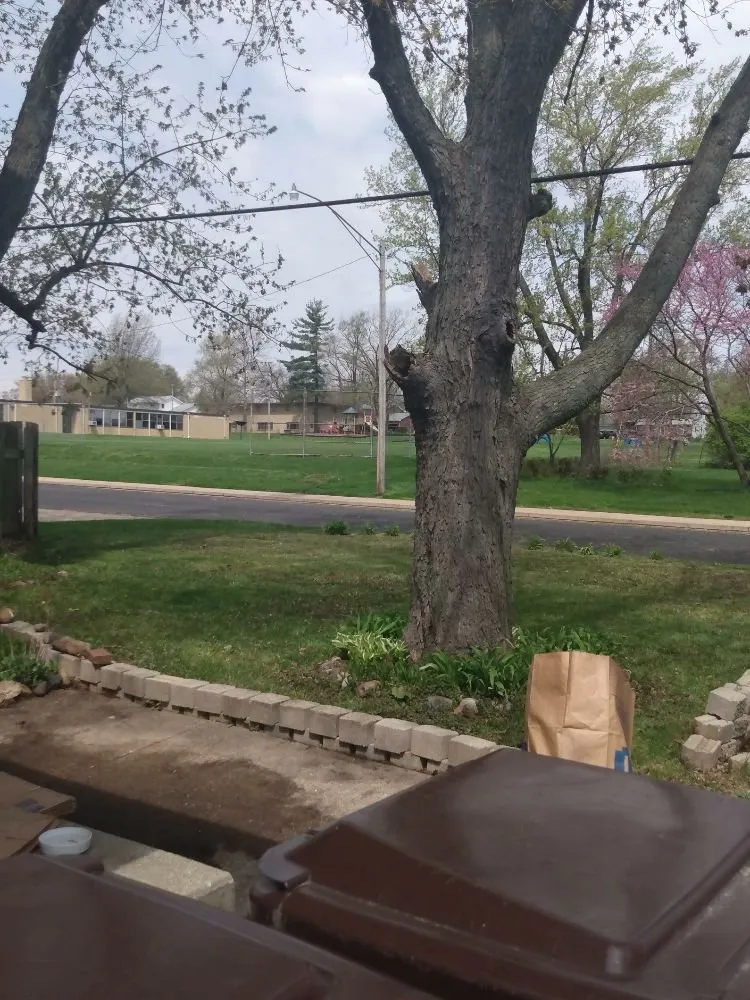 Reliable outdoor landscaping experts serving Peoria, IL - Cutline Lawn Care