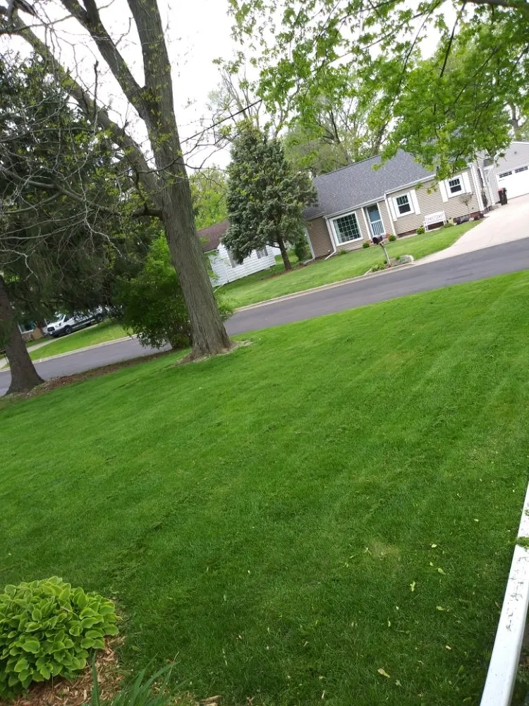 Top-rated yard cleanup service in Peoria, IL - Cutline Lawn Care