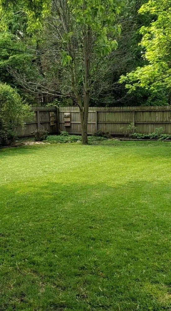 Trusted yard cleanup service in Peoria, IL by Cutline Lawn Care