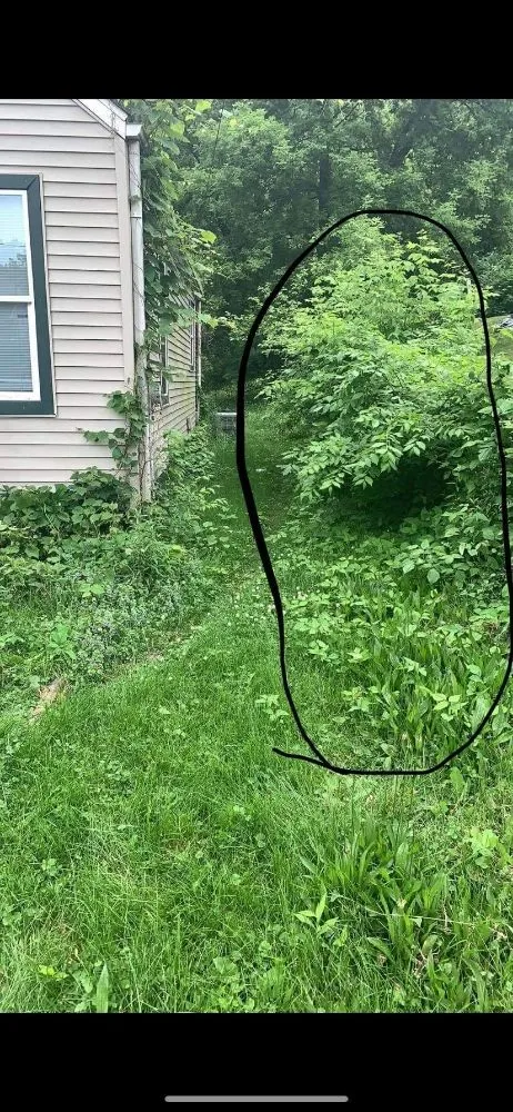 Expert outdoor landscaping for homes in Peoria, IL by Cutline Lawn Care