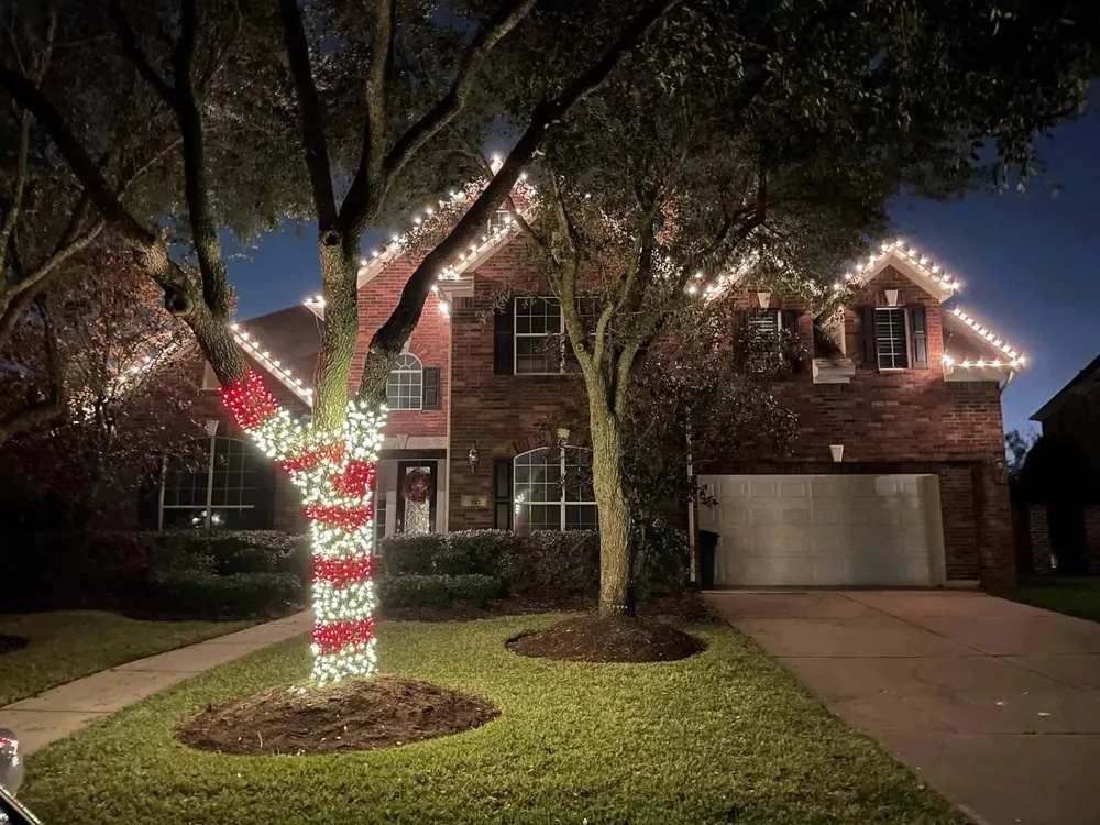 Top-rated landscape installation for year-round maintenance across Kingwood, TX - Cut'n Edge Property Management