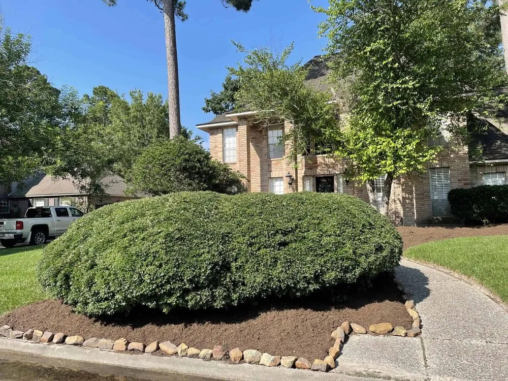 Affordable landscaping services for homes across Kingwood, TX - Cut'n Edge Property Management