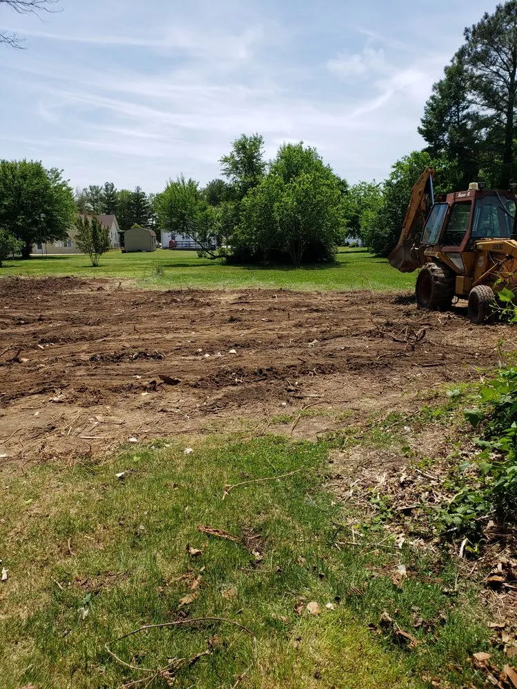 Affordable lawn care service in Harrington, DE - Cut’n Up