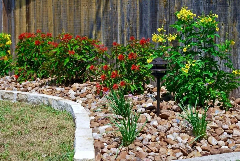 Top-rated yard maintenance experts serving San Antonio, TX - Cutrite Landscaping