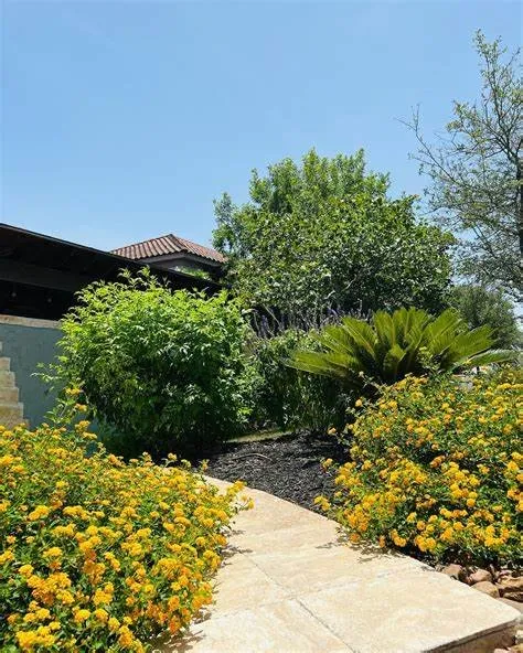 Reliable yard cleanup service in San Antonio, TX - Cutrite Landscaping