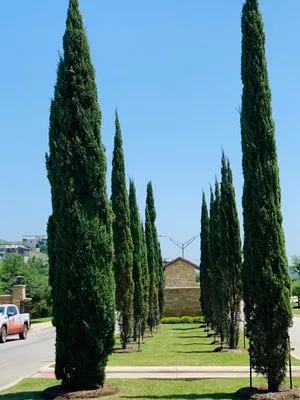 Cutrite Landscaping Logo