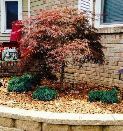 Top-rated garden landscaping with custom design in Clarksville, TN by CutRite Lawn Service