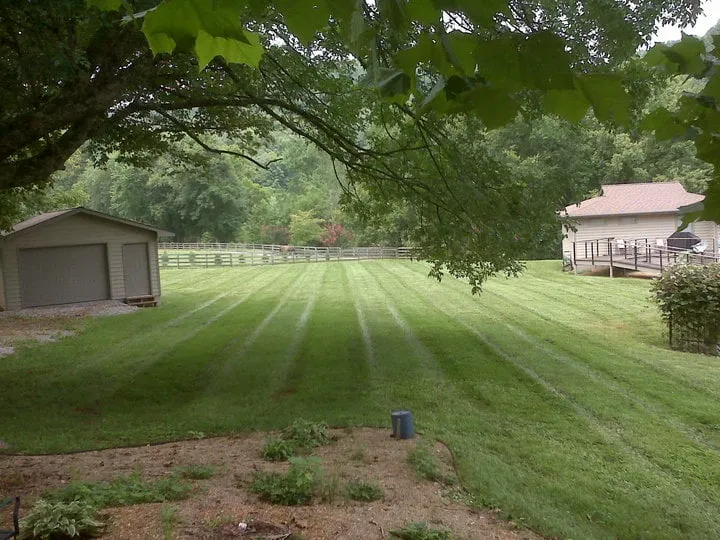 Expert yard cleanup service with custom design across Clarksville, TN - CutRite Lawn Service