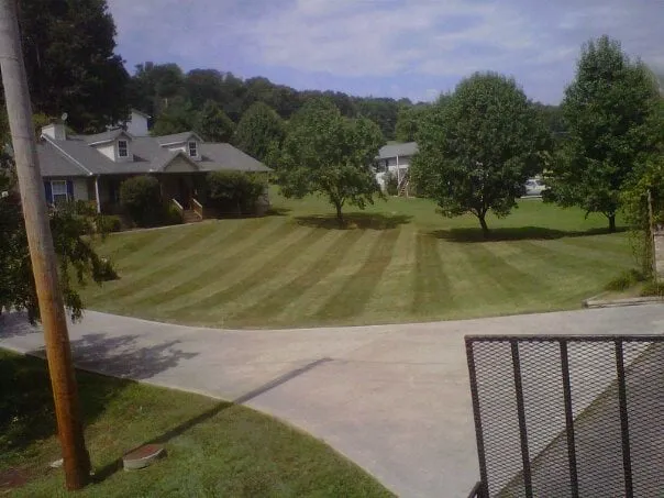 Professional lawn care service with custom design across Clarksville, TN - CutRite Lawn Service