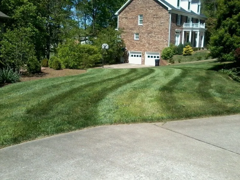Trusted yard maintenance in Clarksville, TN by CutRite Lawn Service