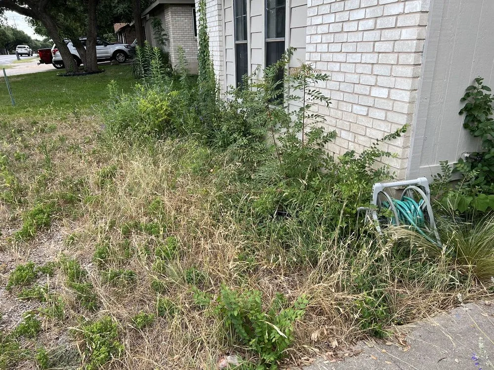 Trusted landscape installation in Austin, TX - Cuts & Edges Lawn Services