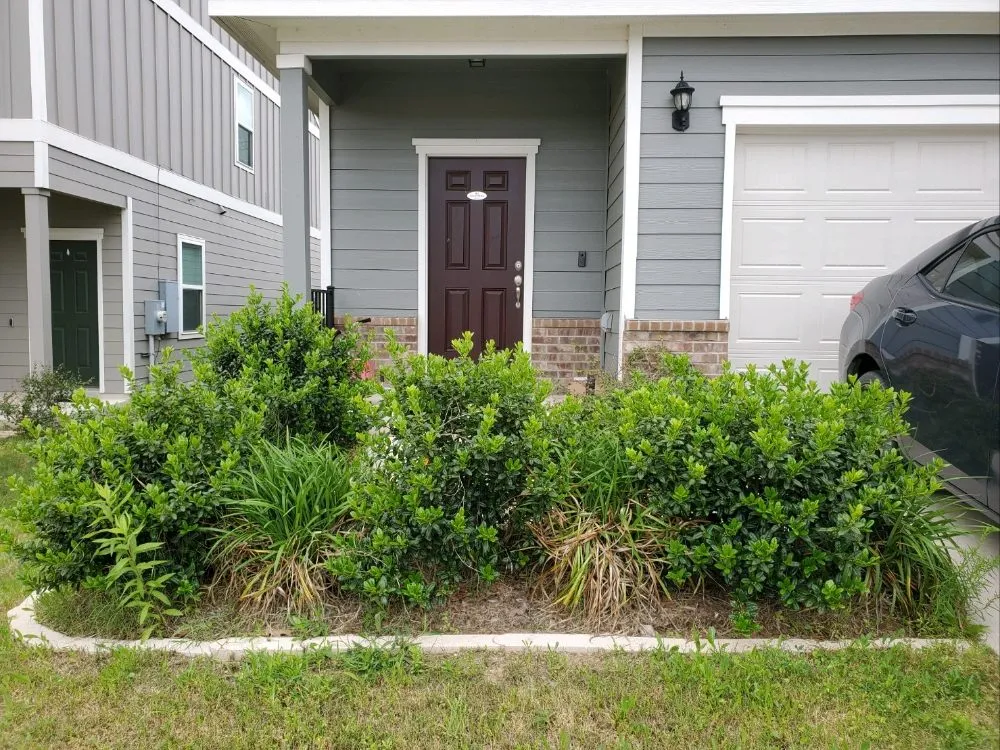 Professional garden landscaping in Austin, TX - Cuts & Edges Lawn Services