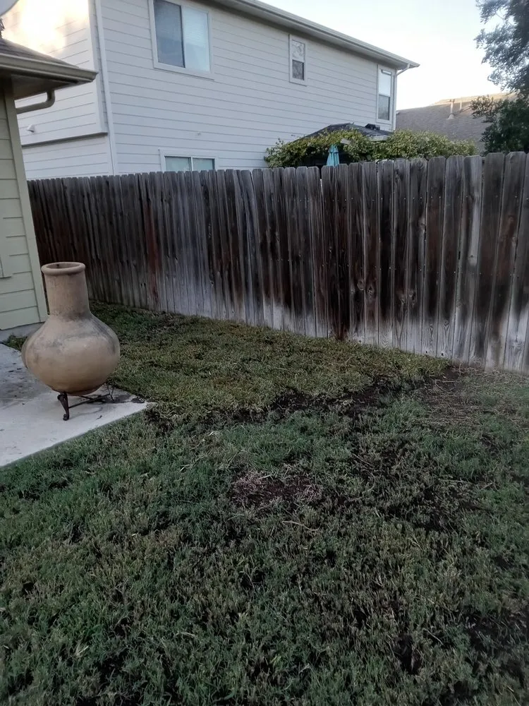 Affordable lawn mowing service experts serving Austin, TX - Cuts & Edges Lawn Services