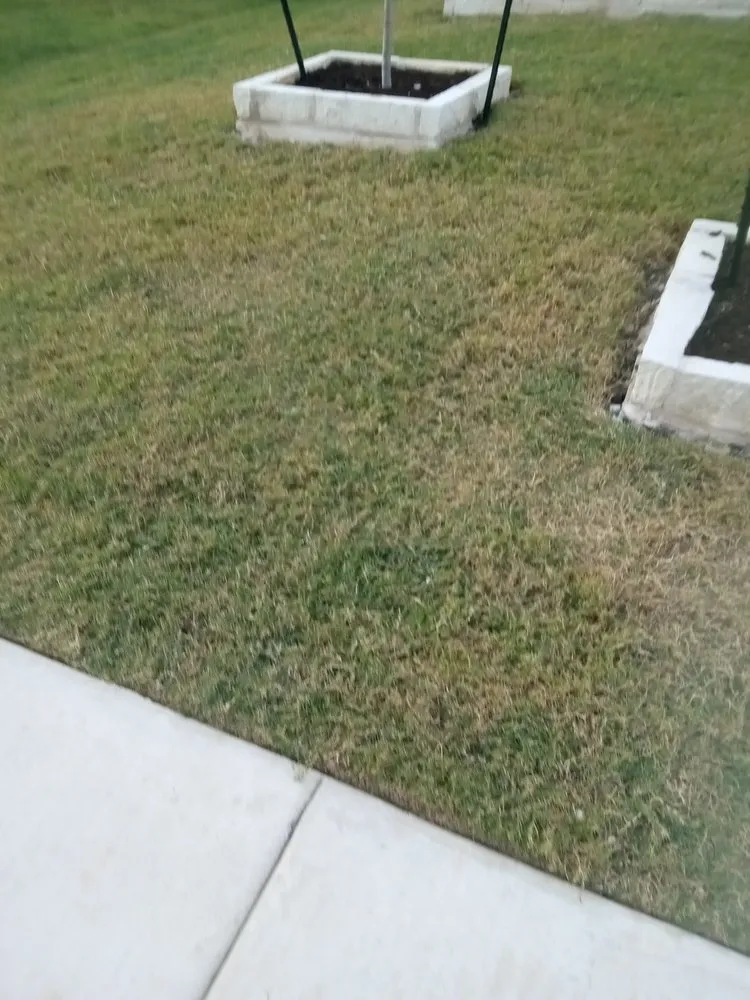 Affordable residential landscaping for residential properties across Austin, TX - Cuts & Edges Lawn Services