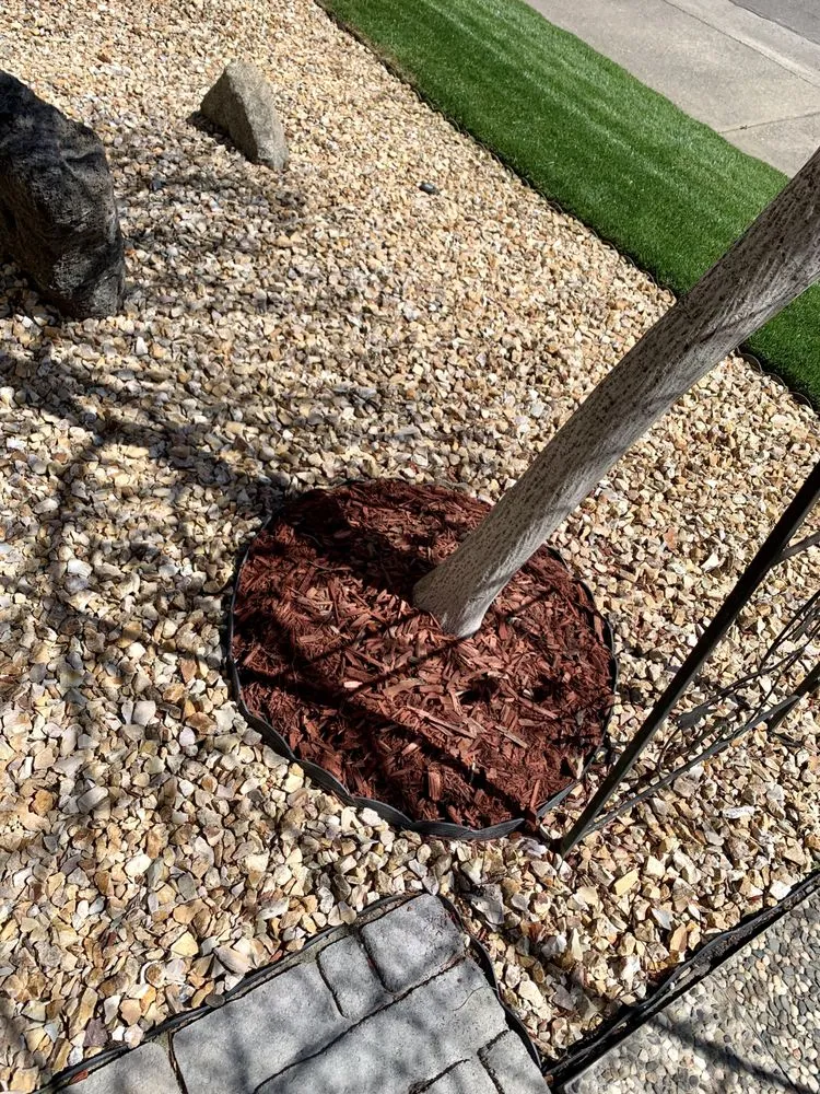 Affordable lawn care service experts serving Delhi, CA - Cuts & Edging Lawn Care