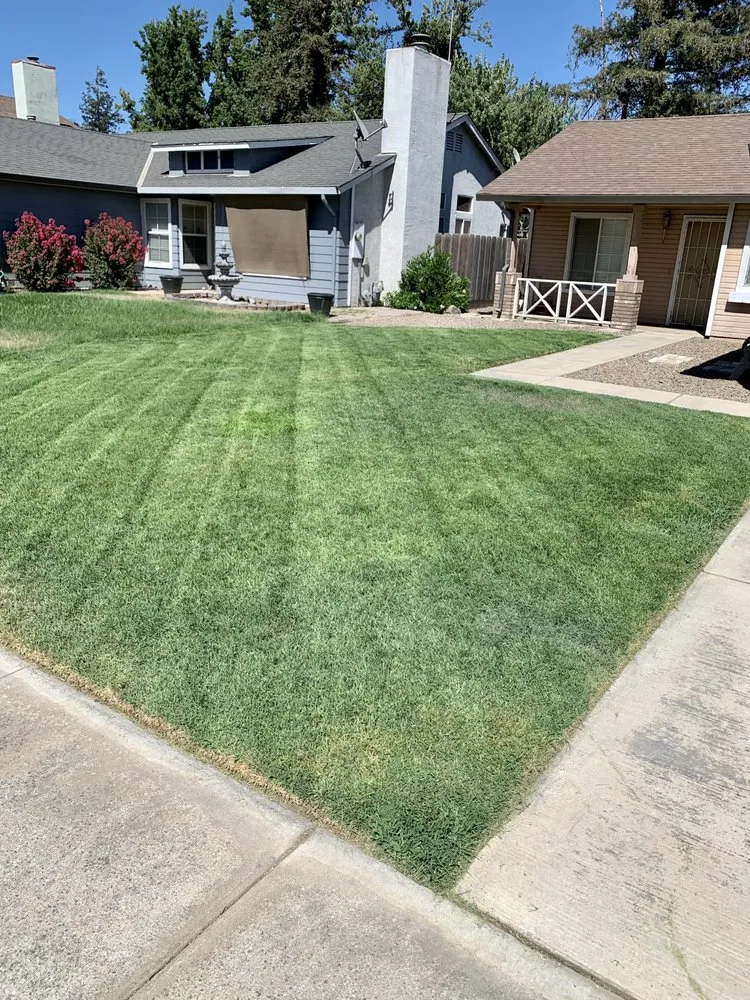 Professional landscaping services in Delhi, CA - Cuts & Edging Lawn Care