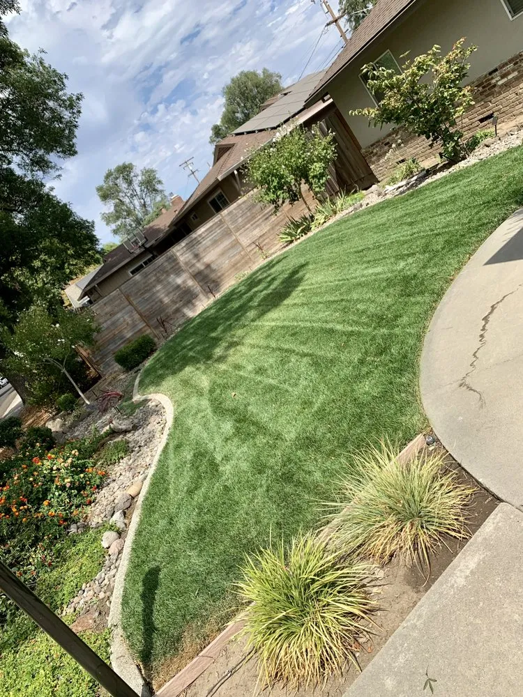 Local yard maintenance in Delhi, CA - Cuts & Edging Lawn Care
