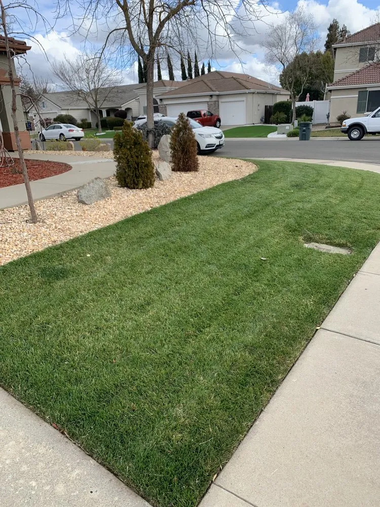 Reliable lawn care service with custom design across Delhi, CA - Cuts & Edging Lawn Care