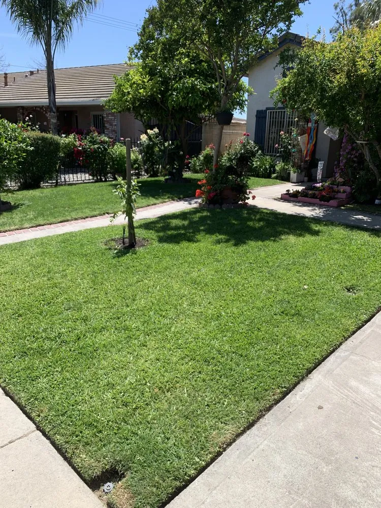 Local residential landscaping experts serving Delhi, CA - Cuts & Edging Lawn Care