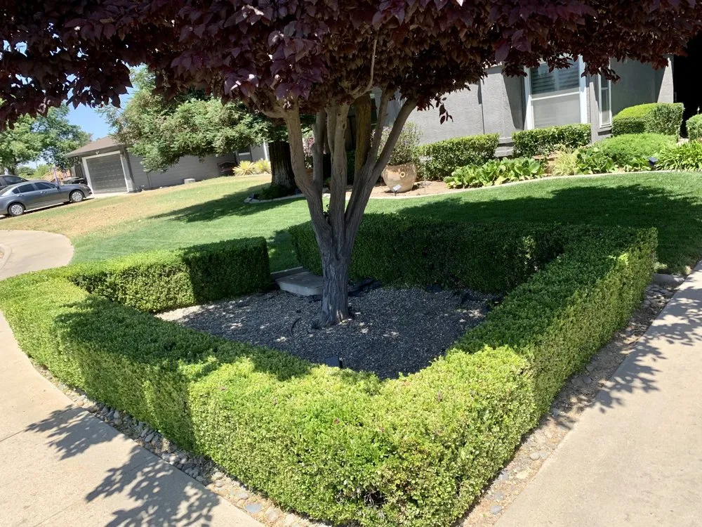 Top-rated landscaping services for homes in Delhi, CA by Cuts & Edging Lawn Care