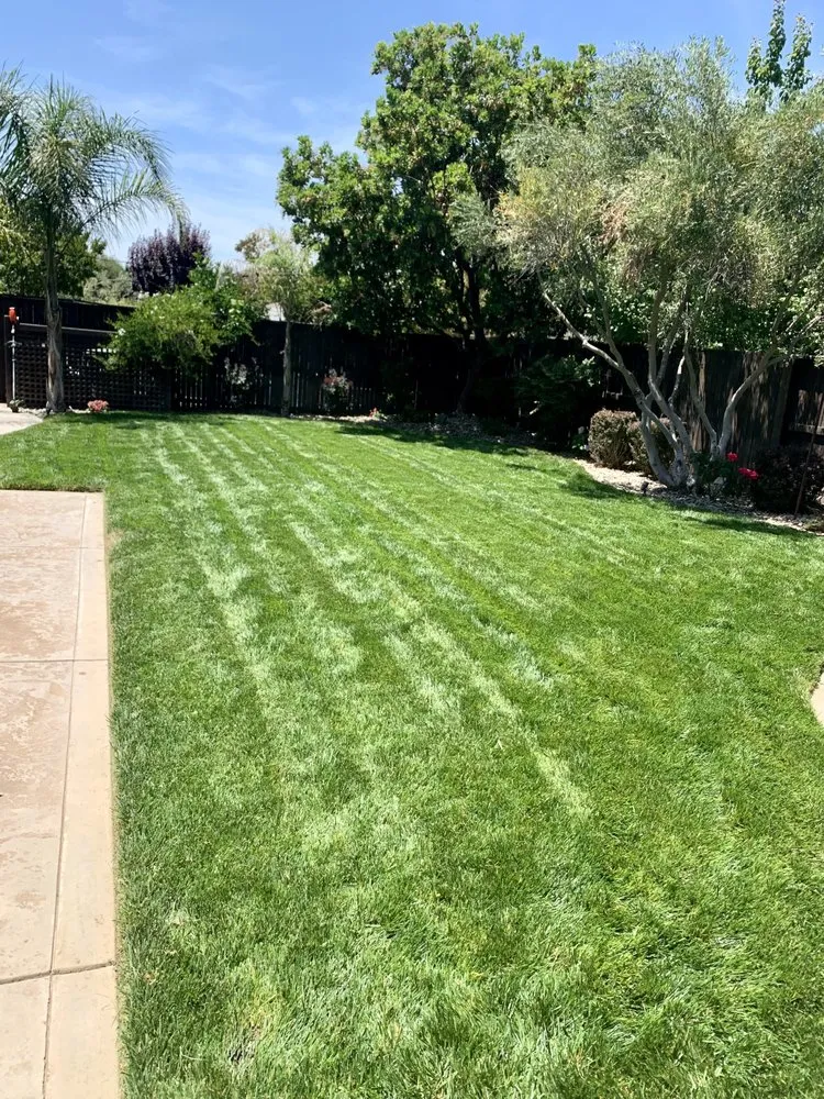 Affordable landscape installation experts serving Delhi, CA - Cuts & Edging Lawn Care
