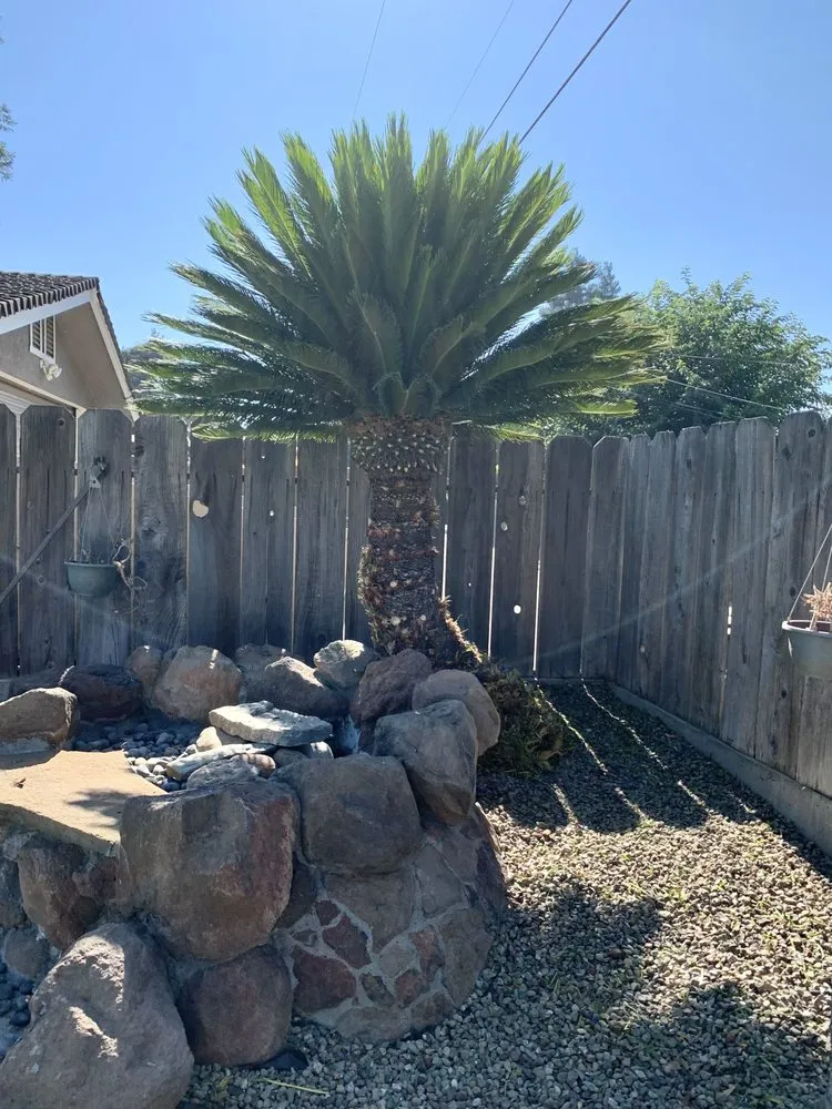 Custom residential landscaping in Delhi, CA - Cuts & Edging Lawn Care