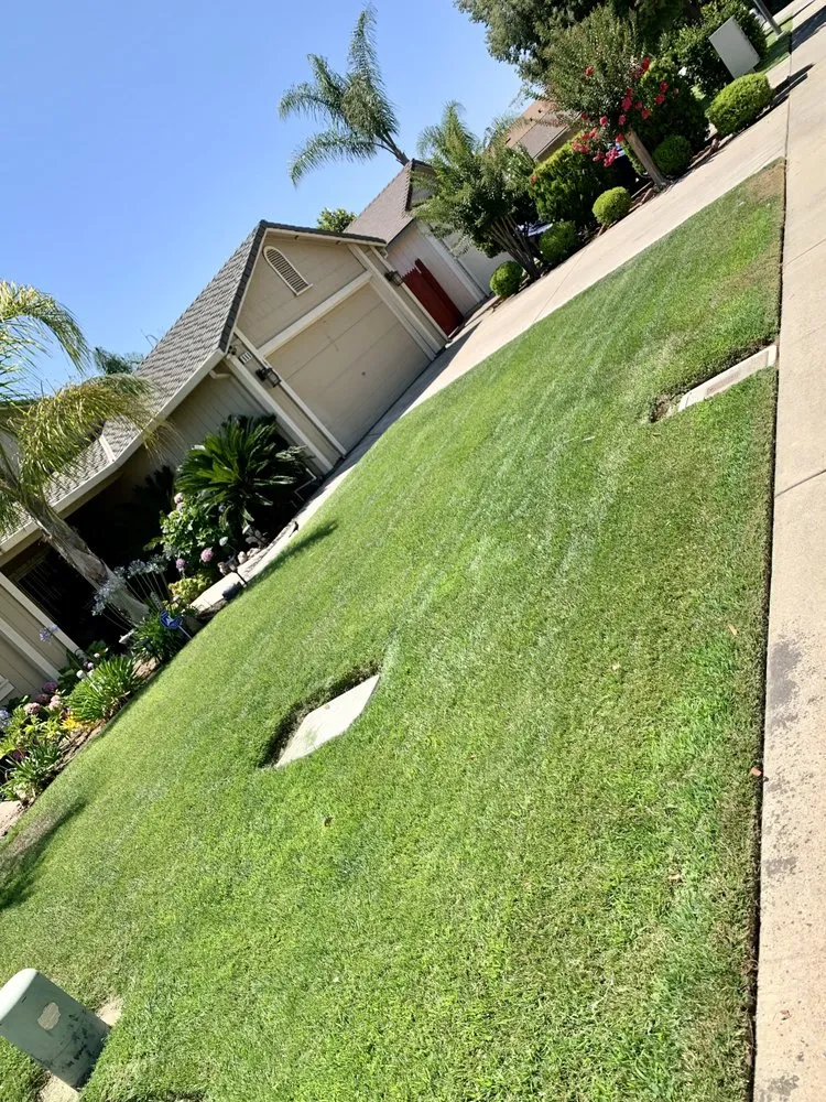 Custom landscape installation in Delhi, CA - Cuts & Edging Lawn Care