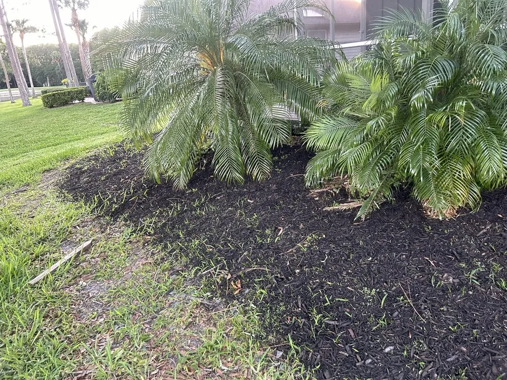 Custom landscape installation experts serving South Daytona, FL - Cuts by Quist