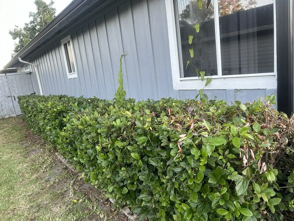 Professional residential landscaping experts serving South Daytona, FL - Cuts by Quist