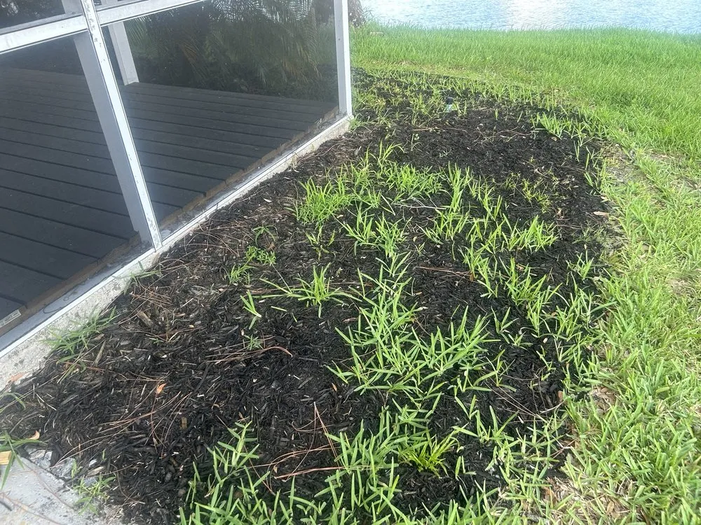 Local landscaping services near you across South Daytona, FL - Cuts by Quist