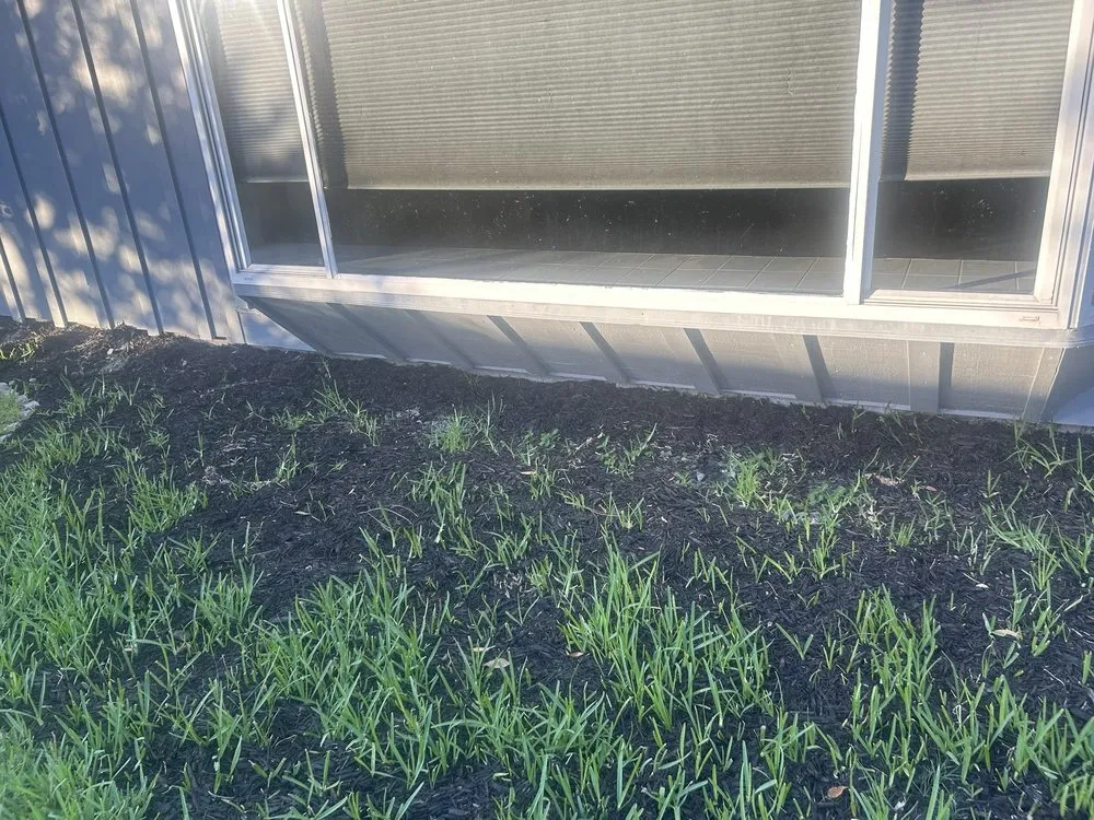 Custom landscape installation for beautiful yards across South Daytona, FL - Cuts by Quist