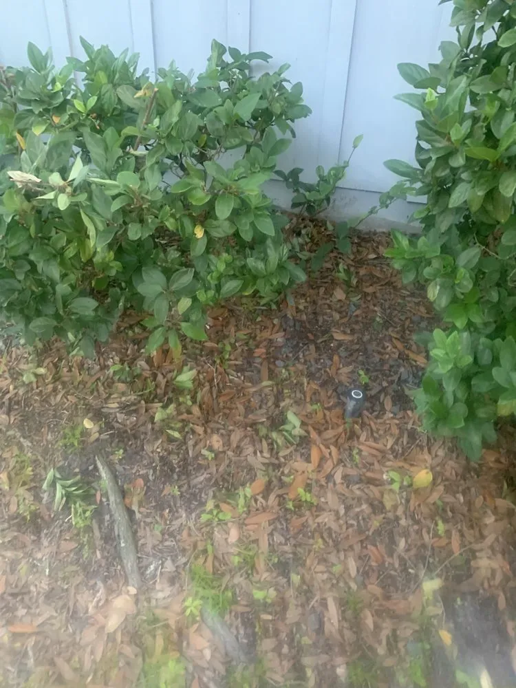 Trusted landscape installation experts serving South Daytona, FL - Cuts by Quist