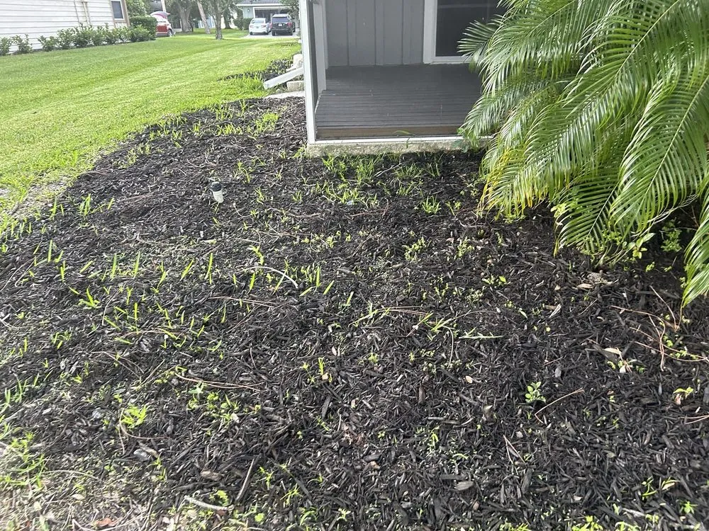 Expert residential landscaping for year-round maintenance across South Daytona, FL - Cuts by Quist