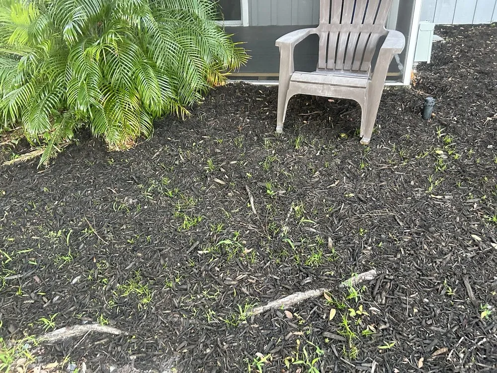 Reliable yard cleanup service for year-round maintenance in South Daytona, FL by Cuts by Quist