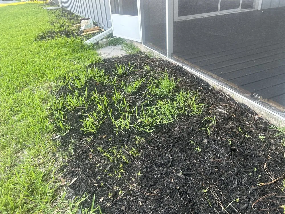 Reliable landscape installation for year-round maintenance across South Daytona, FL - Cuts by Quist