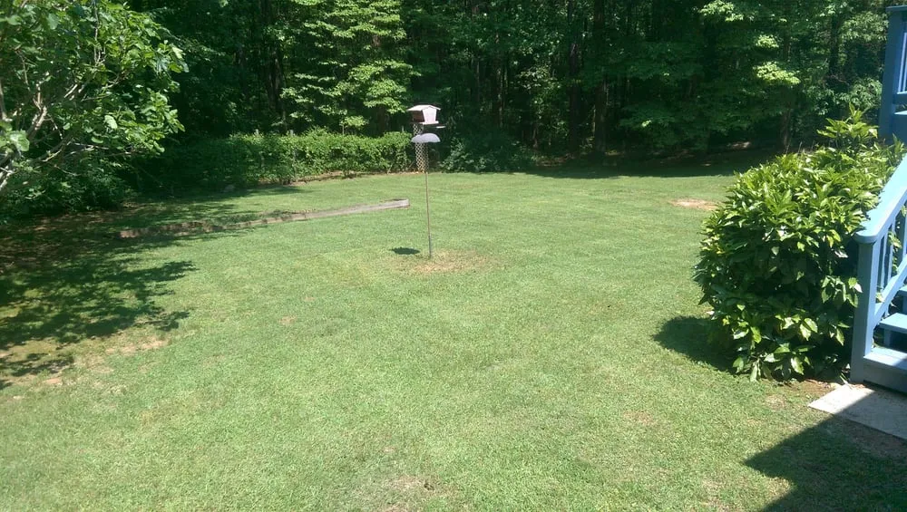 Professional lawn care service for year-round maintenance across Newnan, GA - Cuts Lawn Service