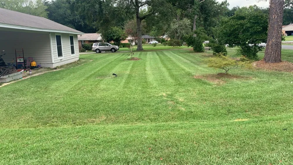 Reliable lawn care service in Tallahassee, FL by Cuts Made Good Lawn & Landscaping