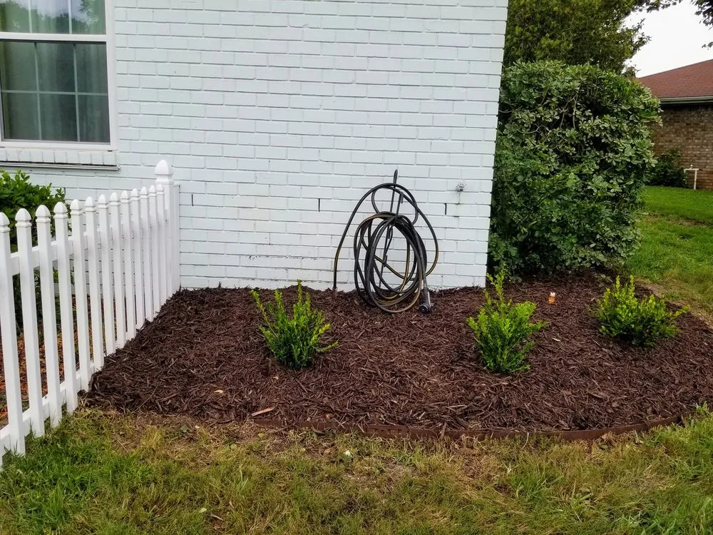 Top-rated landscaping services for year-round maintenance across Pensacola, FL - Cuts N Beyond