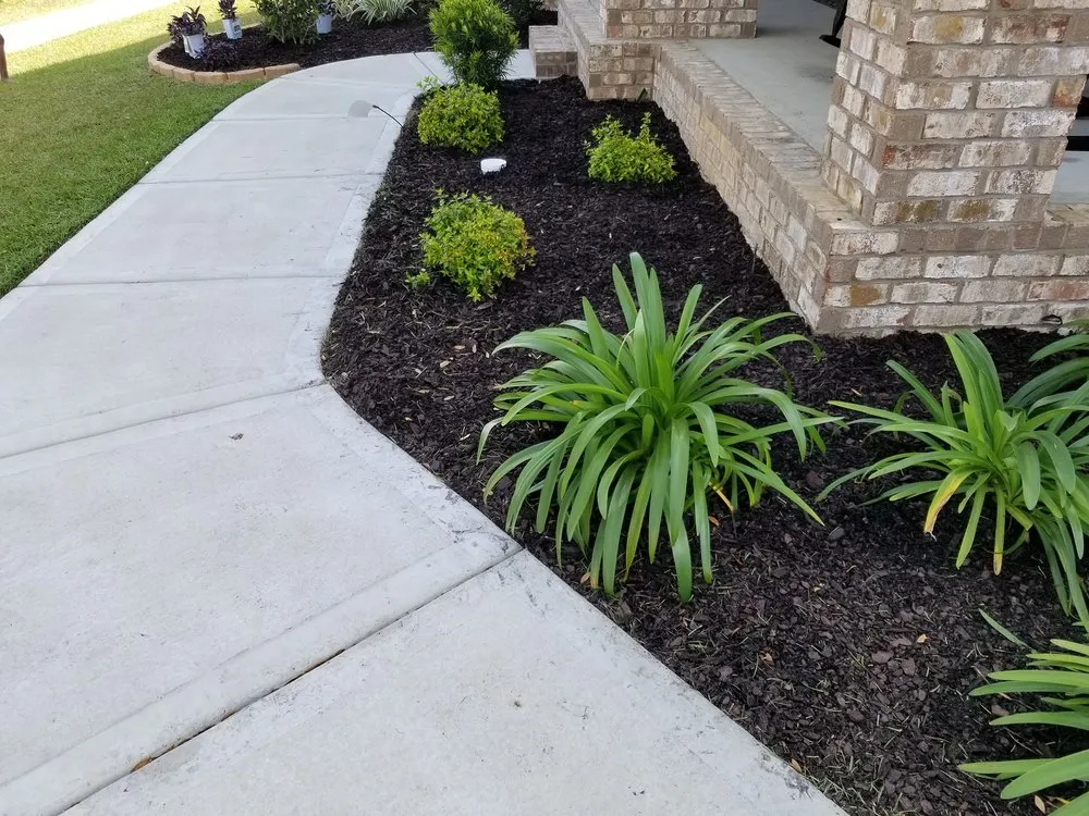 Custom lawn care service experts serving Pensacola, FL - Cuts N Beyond