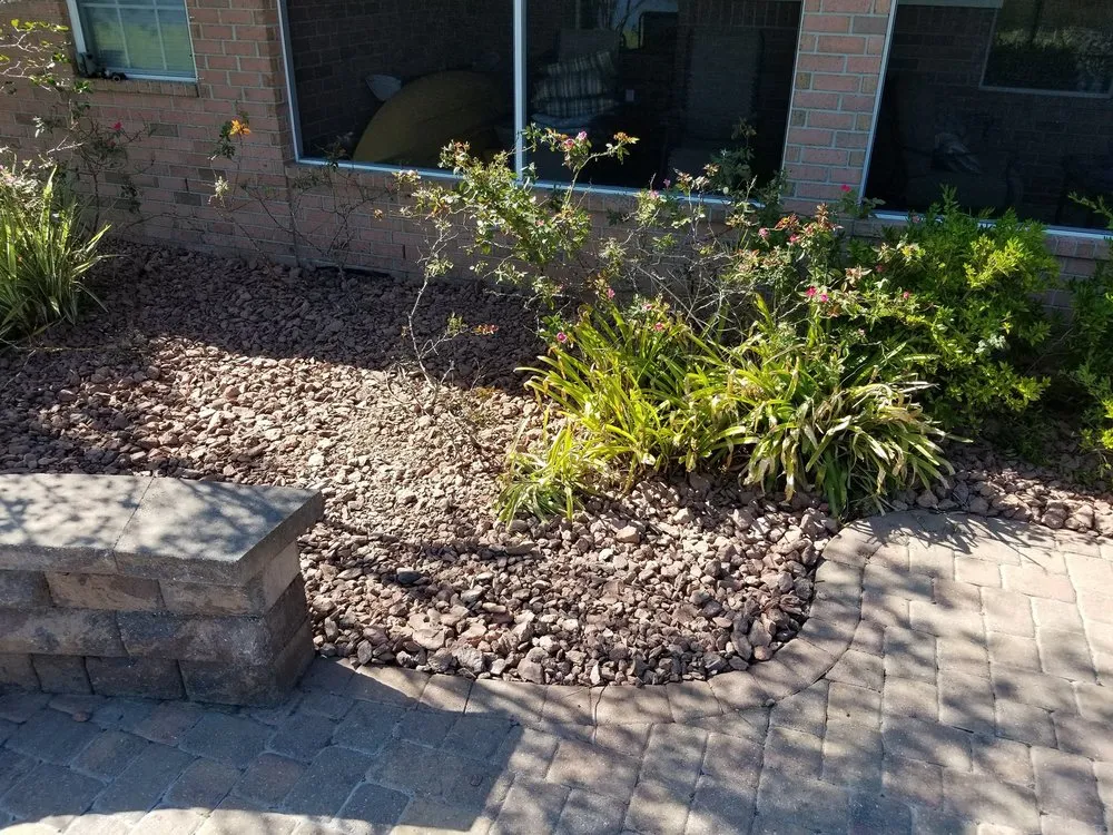 Reliable lawn care service in Pensacola, FL - Cuts N Beyond