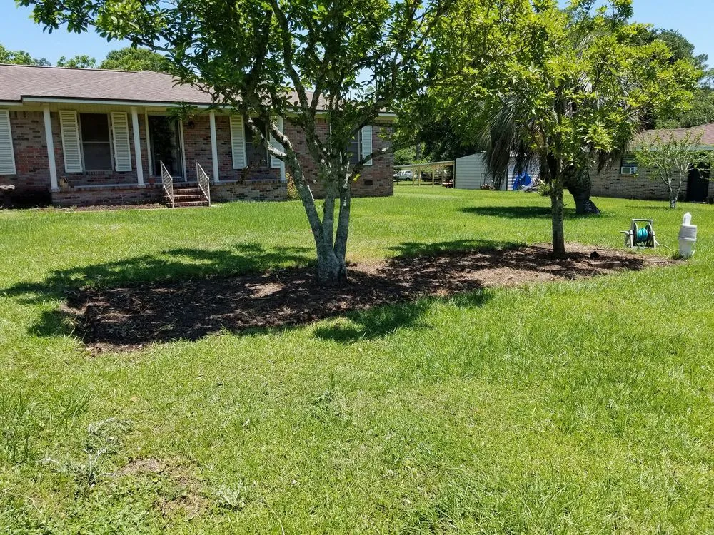 Custom lawn care service with custom design across Pensacola, FL - Cuts N Beyond