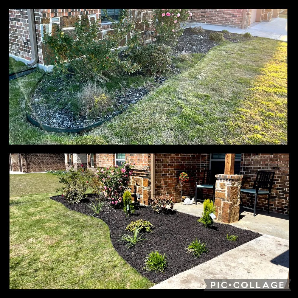 Affordable lawn mowing service for residential properties across Gainesville, TX - CUTS Property Care