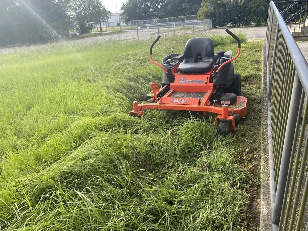 Local residential landscaping for year-round maintenance in New Orleans, LA by Cutt & Trim Lawn Care