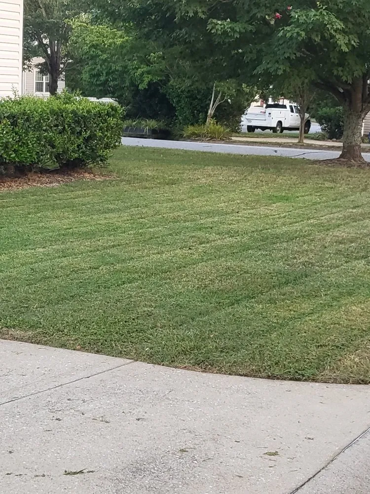 Custom landscape design in Spartanburg, SC - Cutter Brothers