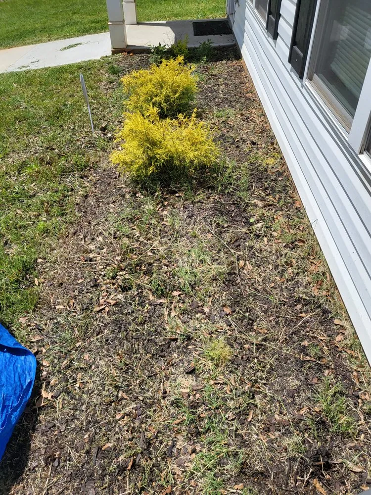 Professional lawn care service for residential properties in Spartanburg, SC by Cutter Brothers