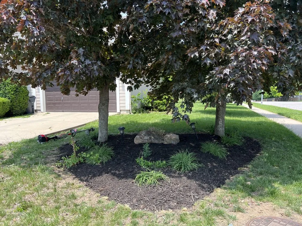 Top-rated yard cleanup service for residential properties across Overland Park, KS - Cutter Fleet Lawn & Landscaping