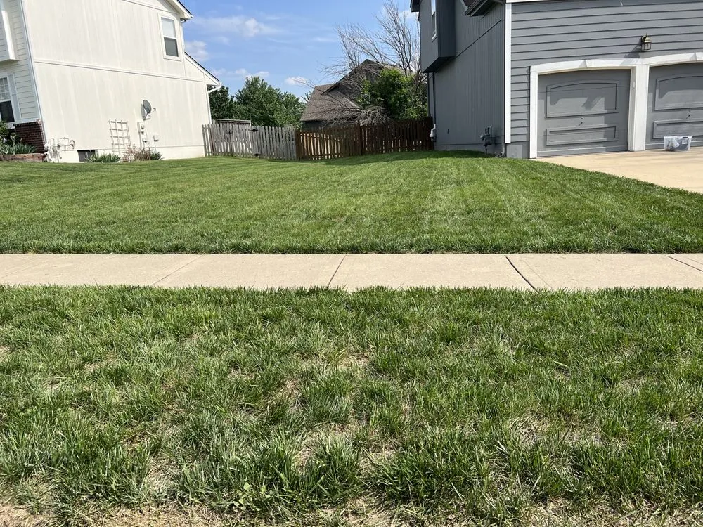 Reliable yard cleanup service in Overland Park, KS - Cutter Fleet Lawn & Landscaping