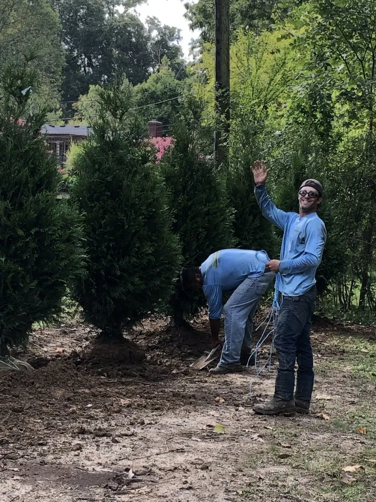 Affordable landscaping services in Louisville, KY by Cutter Lawn Care