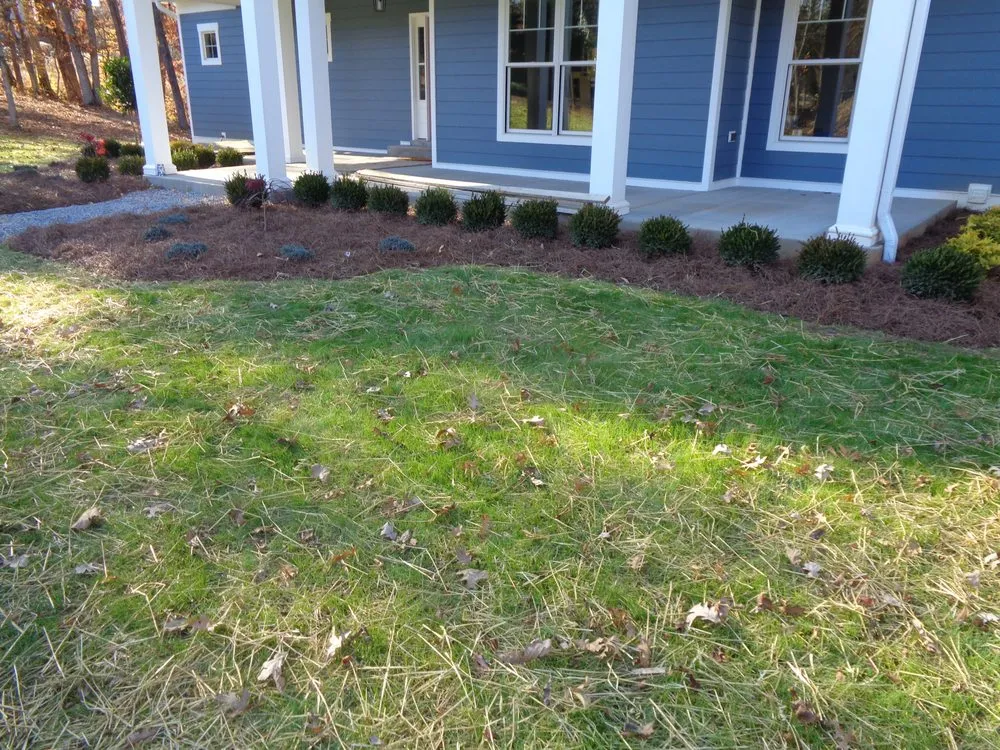 Top-rated yard cleanup service in Louisville, KY - Cutter Lawn Care