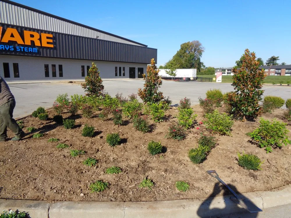 Trusted yard cleanup service for year-round maintenance across Louisville, KY - Cutter Lawn Care